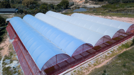 Estufa-Reforçada-2-1 600x500-site-07