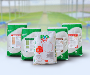 HG Fert: Novas Linhas de Fertilizantes para Hidroponia