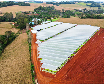 01-cultivo-estufa-drone