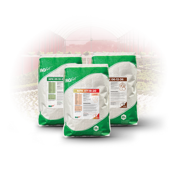 02---fertilizantes 02---fertilizantes