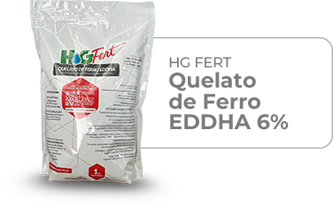 16 - quelato de ferro