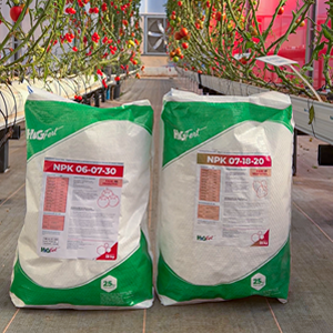 home-img-03 home-img-03