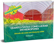 e-book-quanto-custa-e-como-lucrar-em-hidroponia