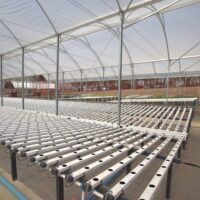 NOC_9785-scaled NOC_9785-scaled