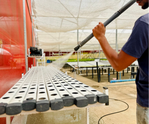 Limpeza e desinfecção de perfis NFT: protocolo pós-colheita para evitar Pythium entre safras